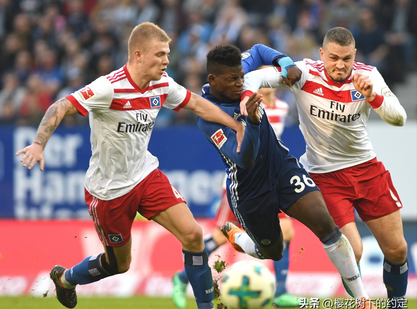 雷火电竞简介-包含汉堡球队备战新一轮比赛，期待全取三分的词条