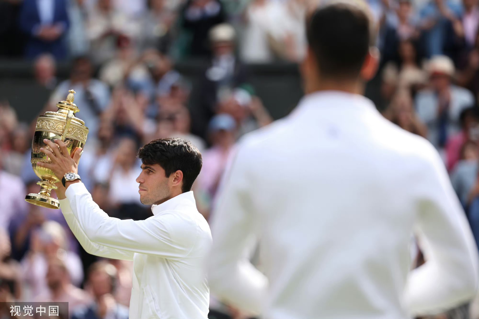 戴维斯杯绝杀年终总决赛,阿尔卡拉斯点燃赛场 戴维斯杯绝杀年终总决赛,阿尔卡拉斯点燃赛场