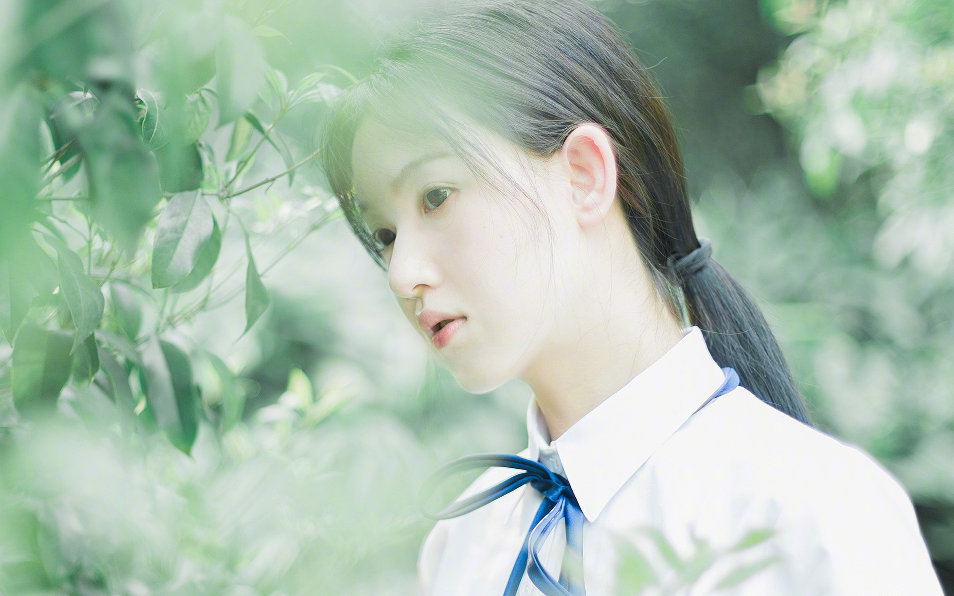 唯一灯光，罗德里戈的意甲加冕夜