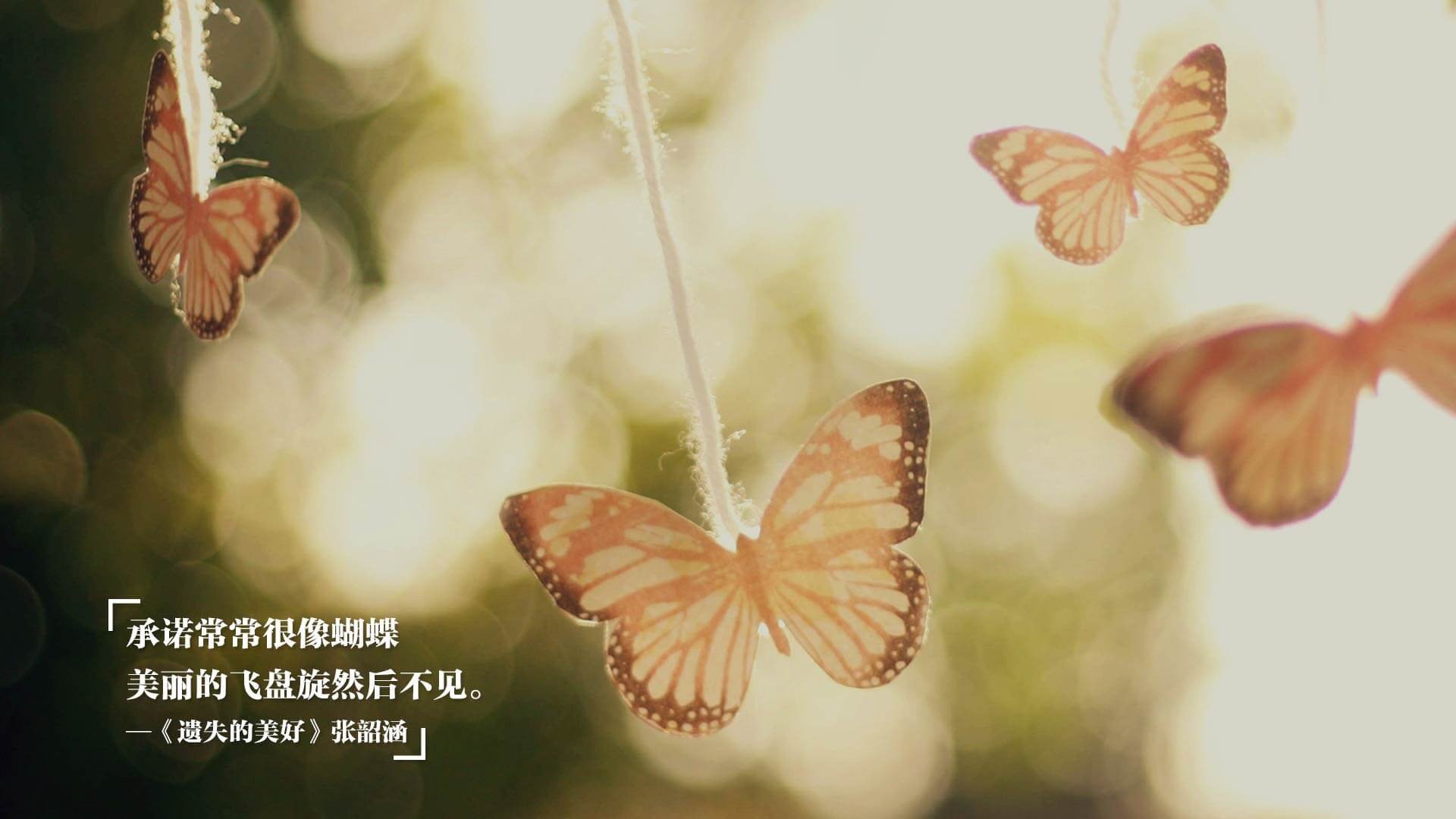 疆界，当广东鏖战火箭时，布伦森在绿茵场上重划世界排名的边界