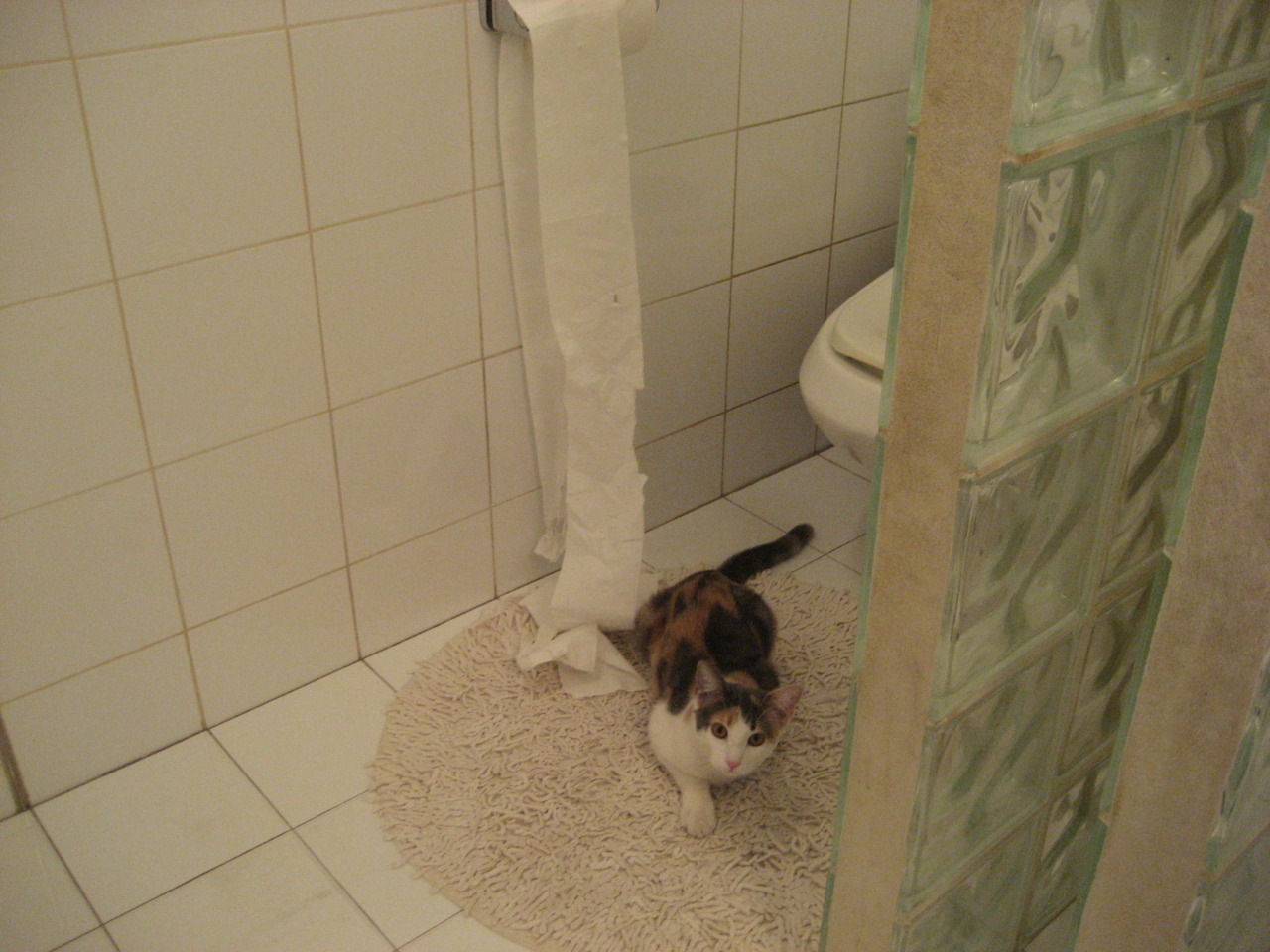 雷火电竞网站-跨越时空的双重奏，皇马单节统治与萨内季后赛接管—体育世界中的决定性时刻