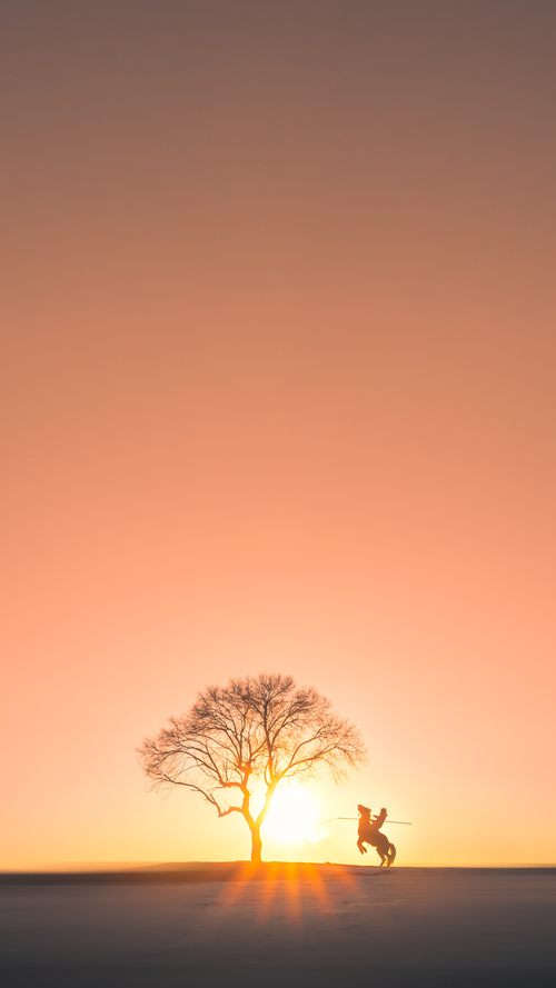 时间旅行的进球，楚阿梅尼如何在2026世界杯之夜打破物理定律