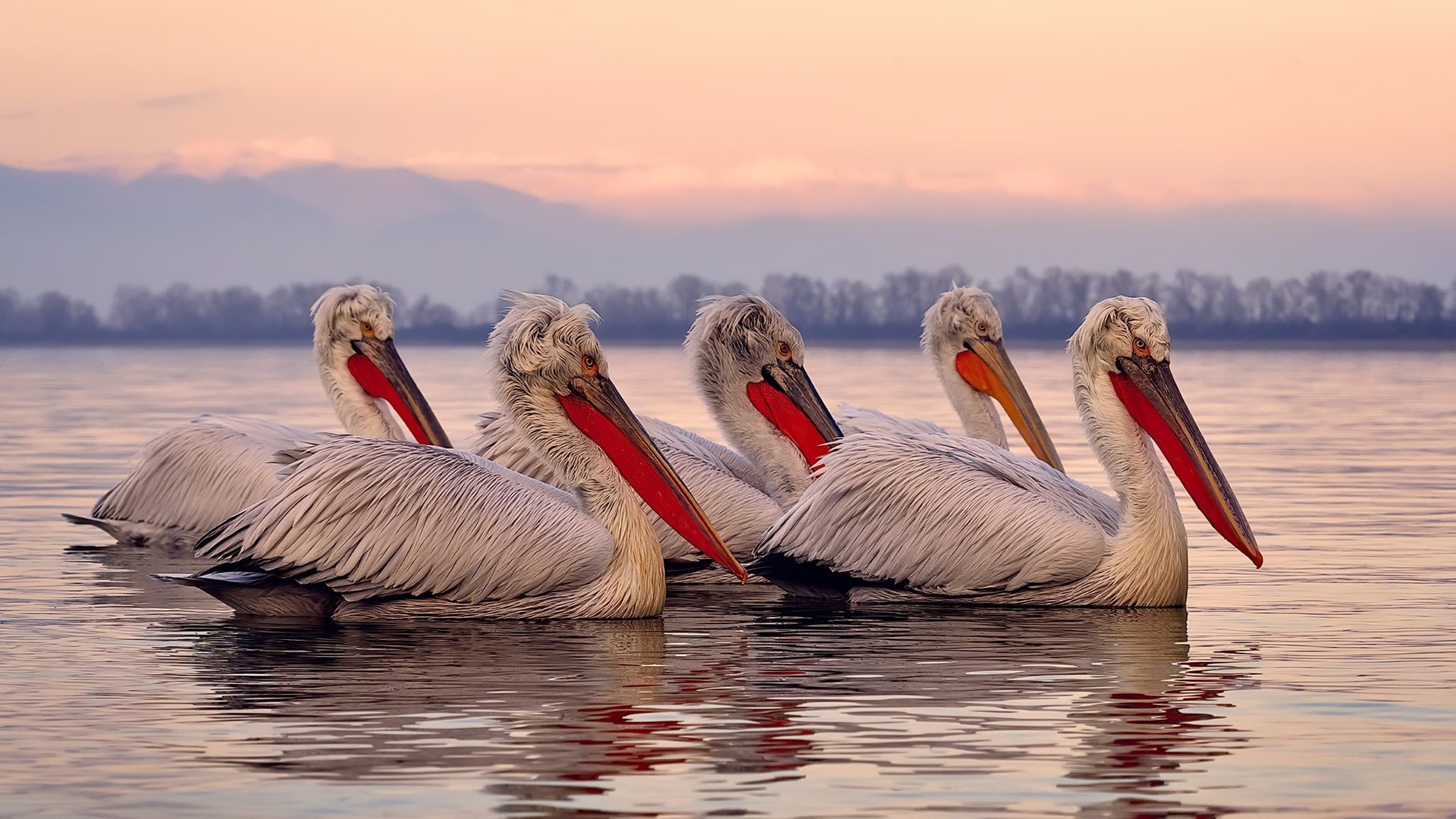 雷火电竞网站-从寂静到雷鸣，努涅斯定义传奇的抢七之夜
