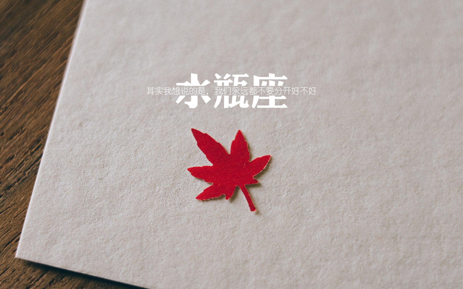 爆冷夜，克莱的关键先生魔法如何让森林狼的防守森林轰然倒塌