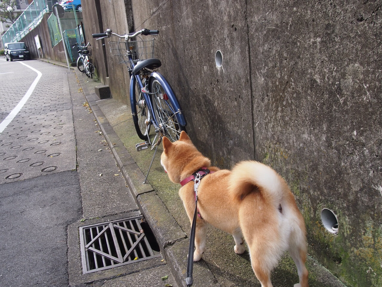 英伦星辰照亮亚平宁夜空，当萨卡成为意甲焦点战的破局者