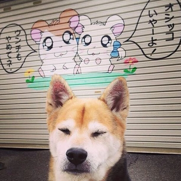 利刃出鞘！本泽马一锤定音，南非球队以高压风暴连续得分压制雷恩