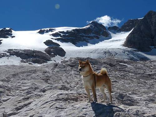 雷火电竞充值-降维打击，若日尼奥的时间场与一场不属于这个维度的热身赛