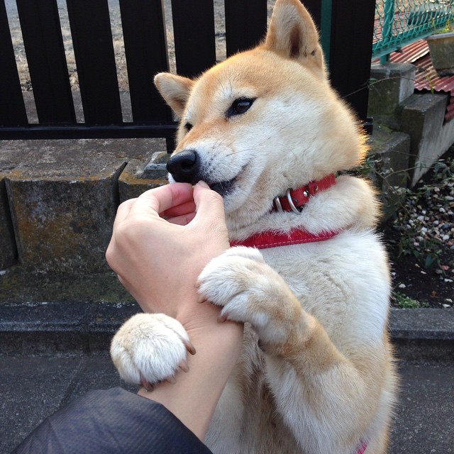 雷火电竞充值-当国家荣耀点燃欧冠之夜，几内亚火力全开压制洪都拉斯