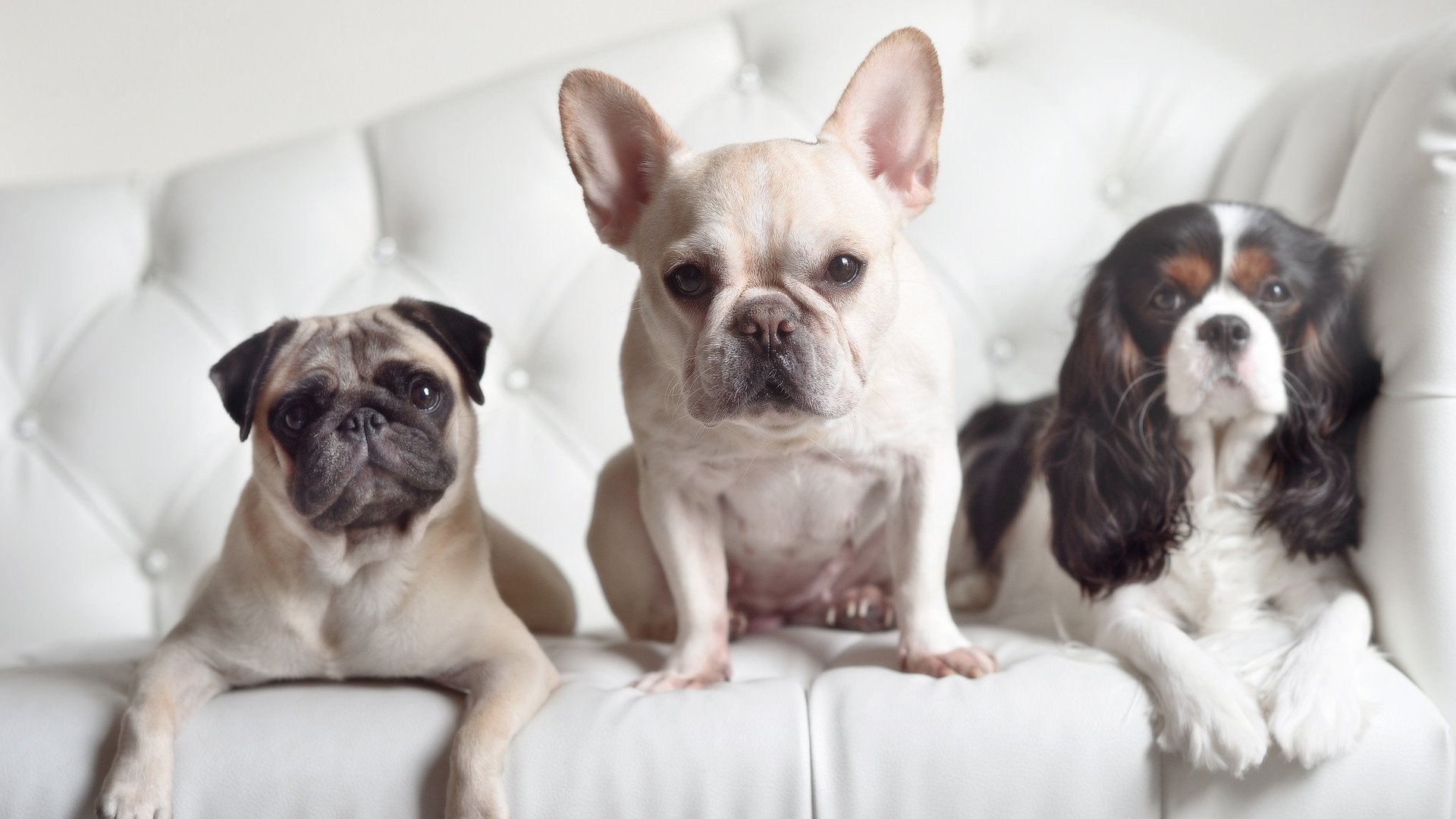 我们先将这份张力用标题凝固下来，再展开全文