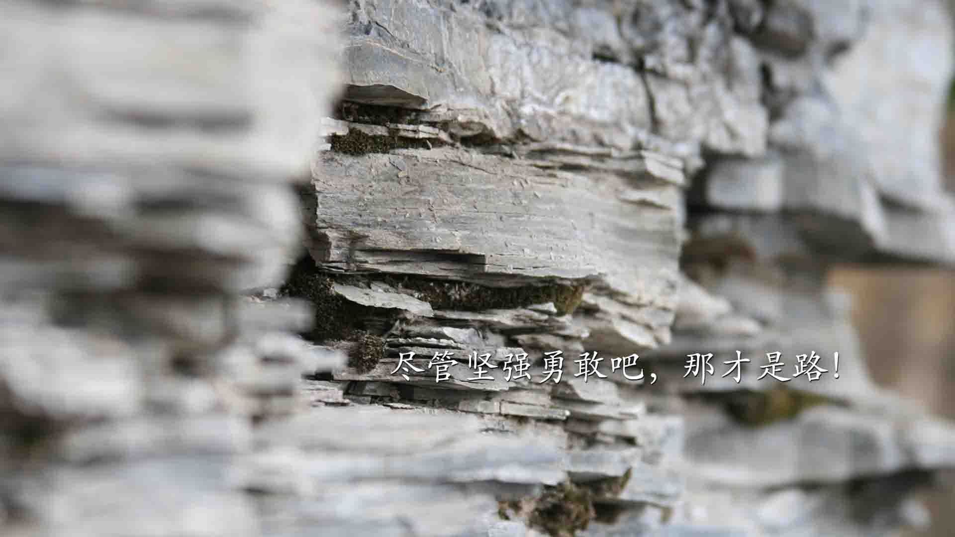 双面孤本,利物浦的铁血基因与加维的丝绸革命—当唯一性成为足球世界的两种解法