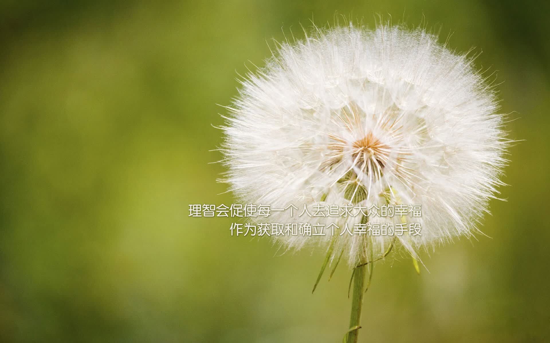 雷火电竞网址-桑巴狂舞，2026世界杯豪门对决关键战，内马尔领衔巴西横扫哥斯达黎加，书写绿茵王者唯一篇章