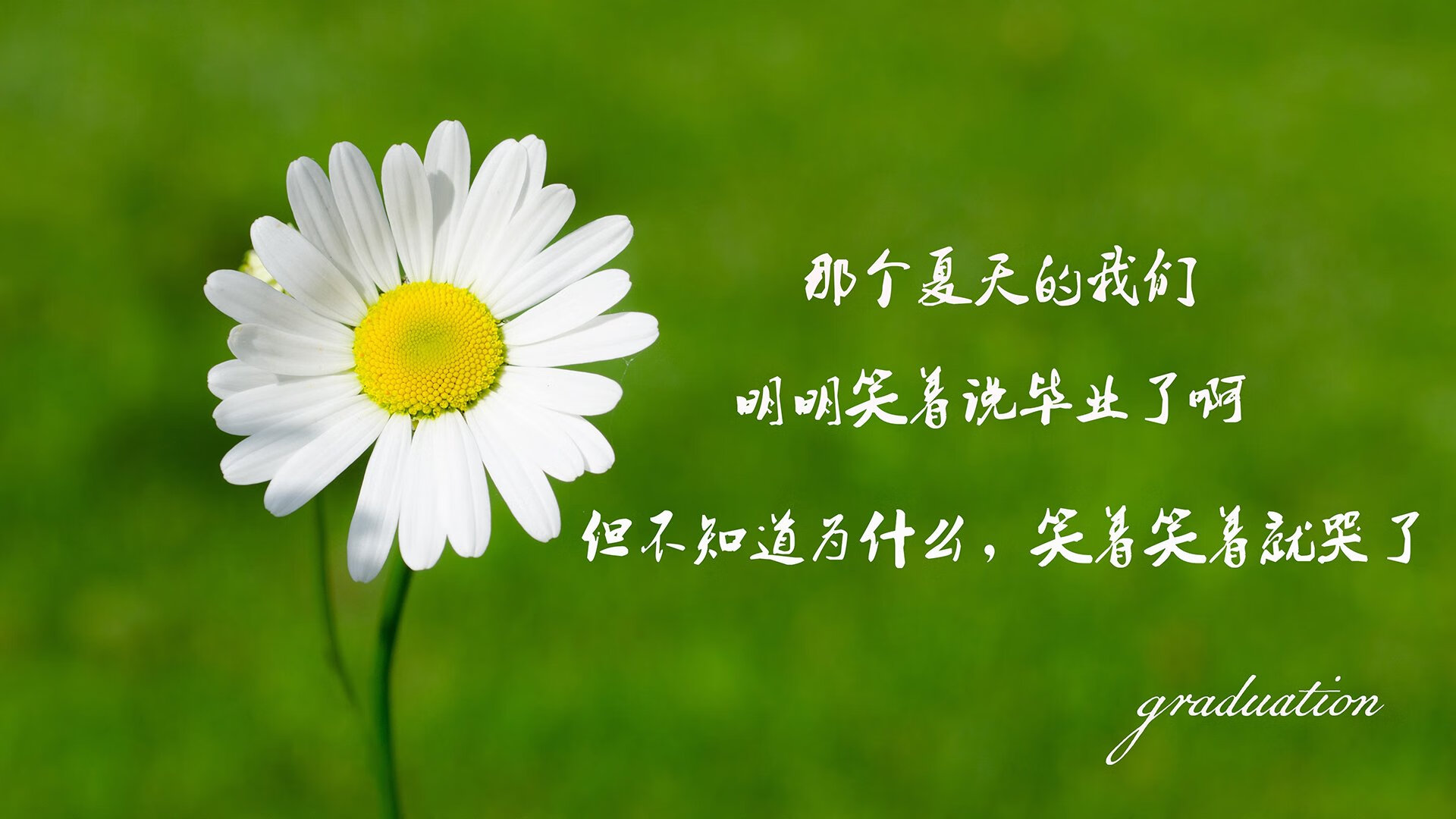 绝唱与新生，2026世界杯G组关键战，波兰横扫西班牙，吉鲁带队书写绿茵史诗