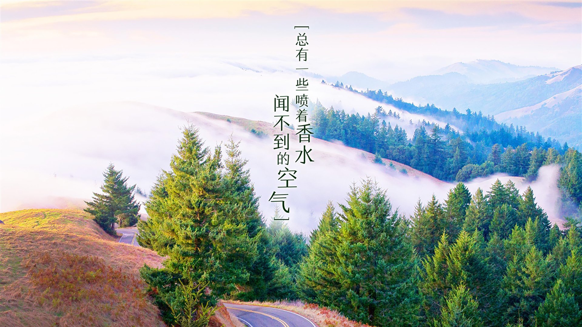 雷火电竞入驻-钢铁战车碾过玫瑰—京多安引领德国式胜利，英格兰在2026世界杯G组关键战中黯然退场