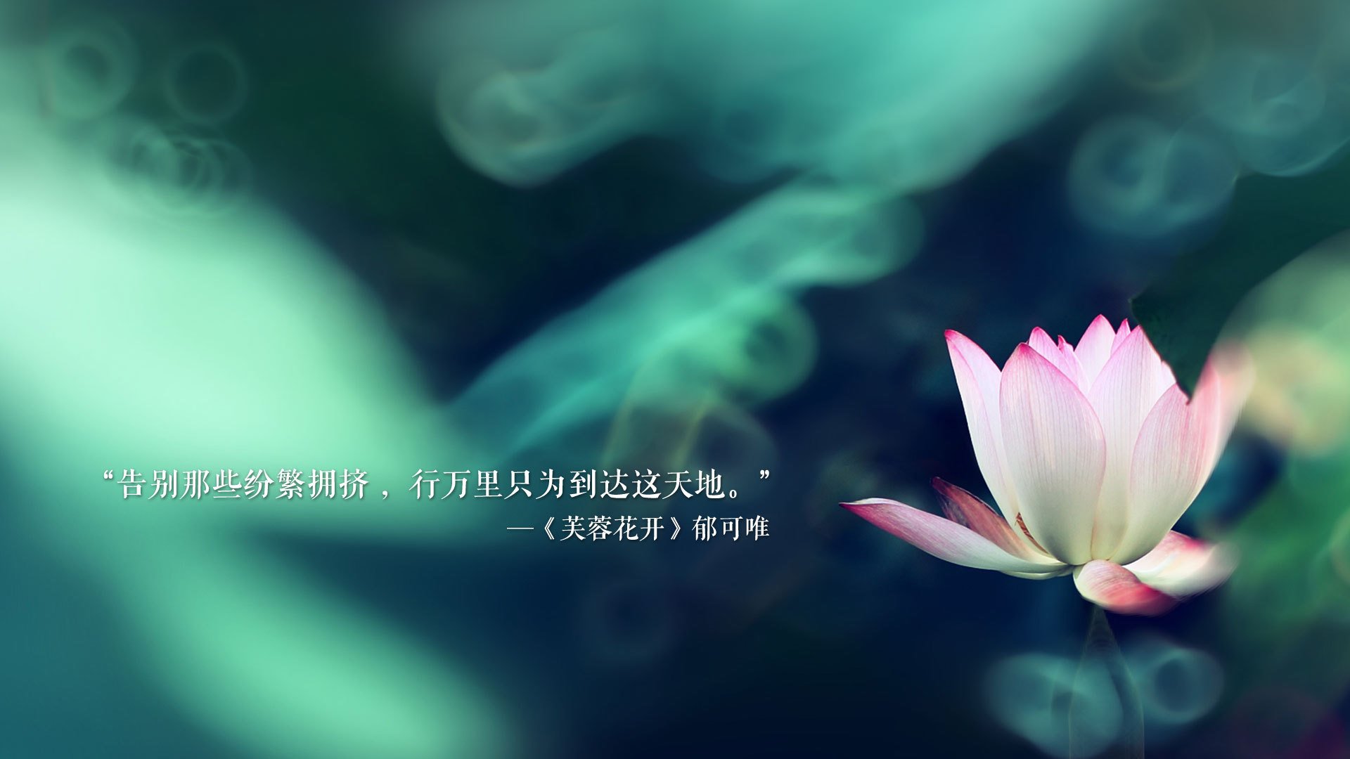 蓝白风暴席卷绿茵,2026世界杯E组焦点战,阿根廷完胜乌兹别克斯坦,苏亚雷斯以锋利之刃划破中亚防线