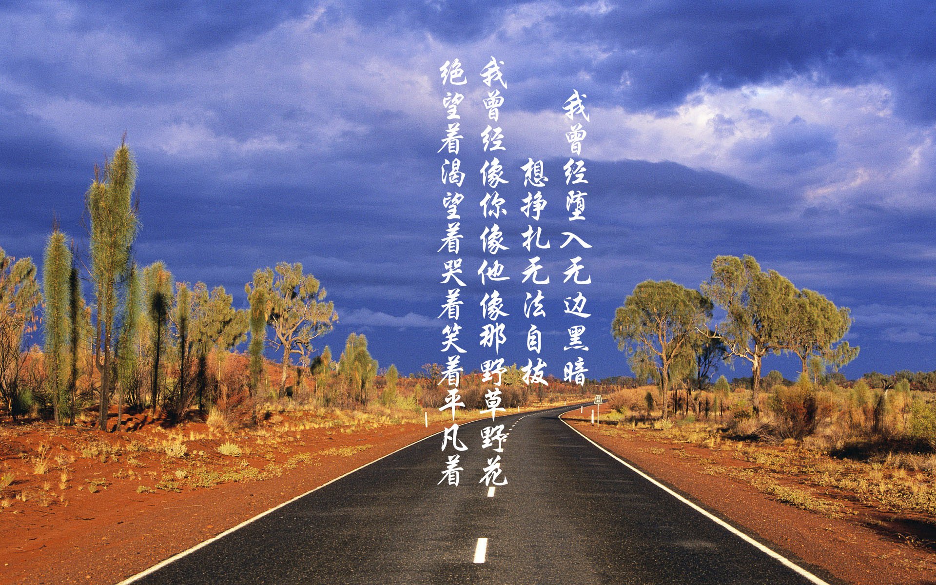绝境桑巴,2026世界杯四分之一决赛,巴西绝杀西班牙,哈基米铸就铁血防线