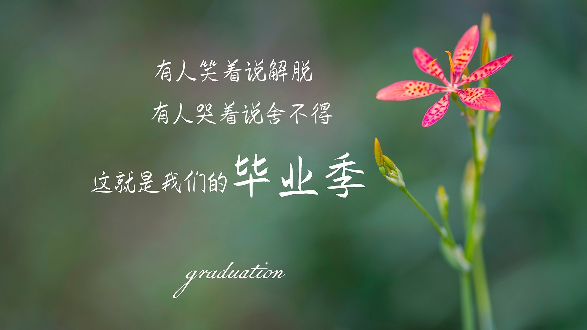 蓝衣军团的黄昏，底格里斯河的黎明，2026世界杯D组，当伊拉克的狂风席卷亚平宁的荣光