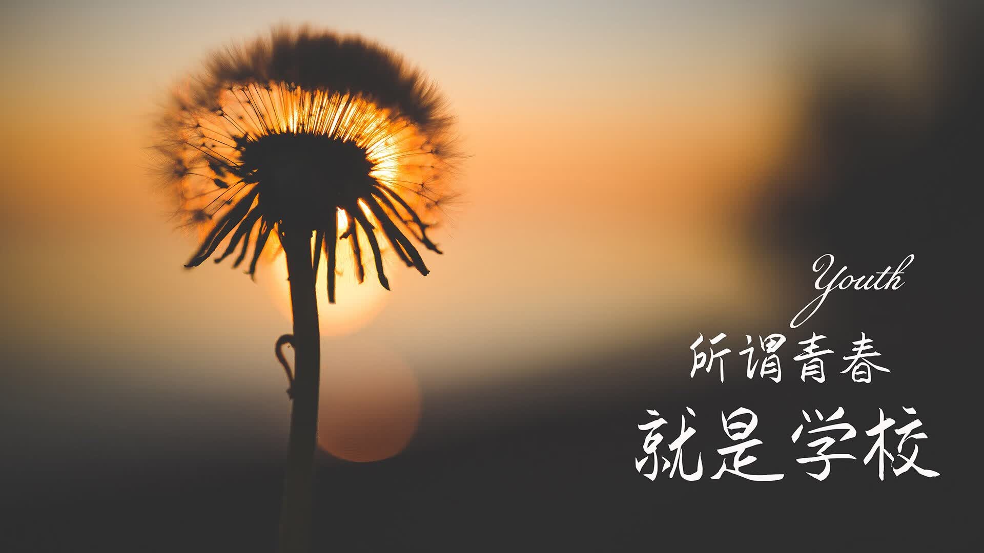 雷火电竞充值-命运之轮在美利坚转动，2026世界杯F组生死战，瑞士军刀刺穿星条旗，久保建英的东方魔法照亮北美夜空