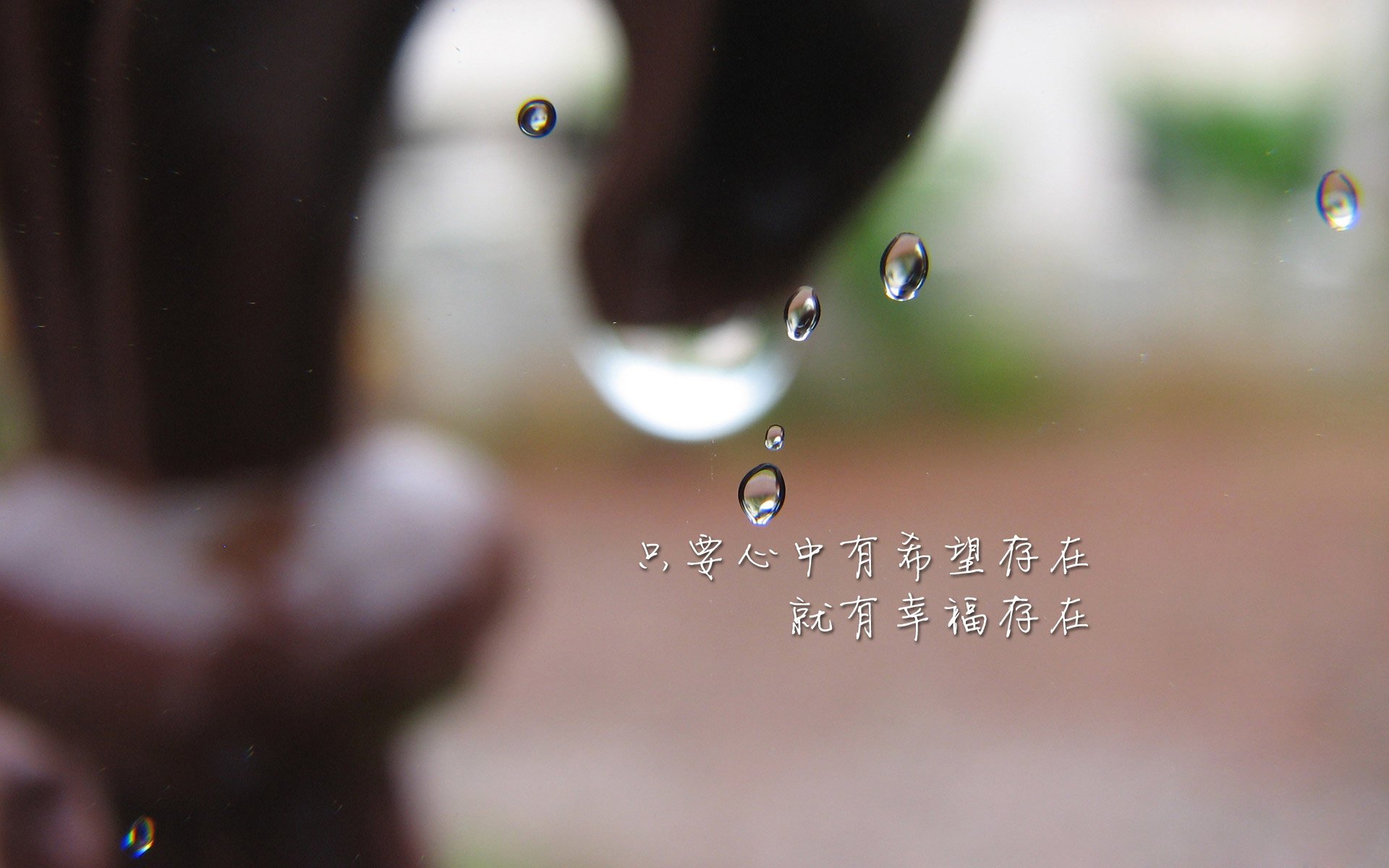 安第斯之鹰撕碎桑巴王冠，厄瓜多尔用唯一性改写世界杯剧本，登贝莱成最锋利的矛